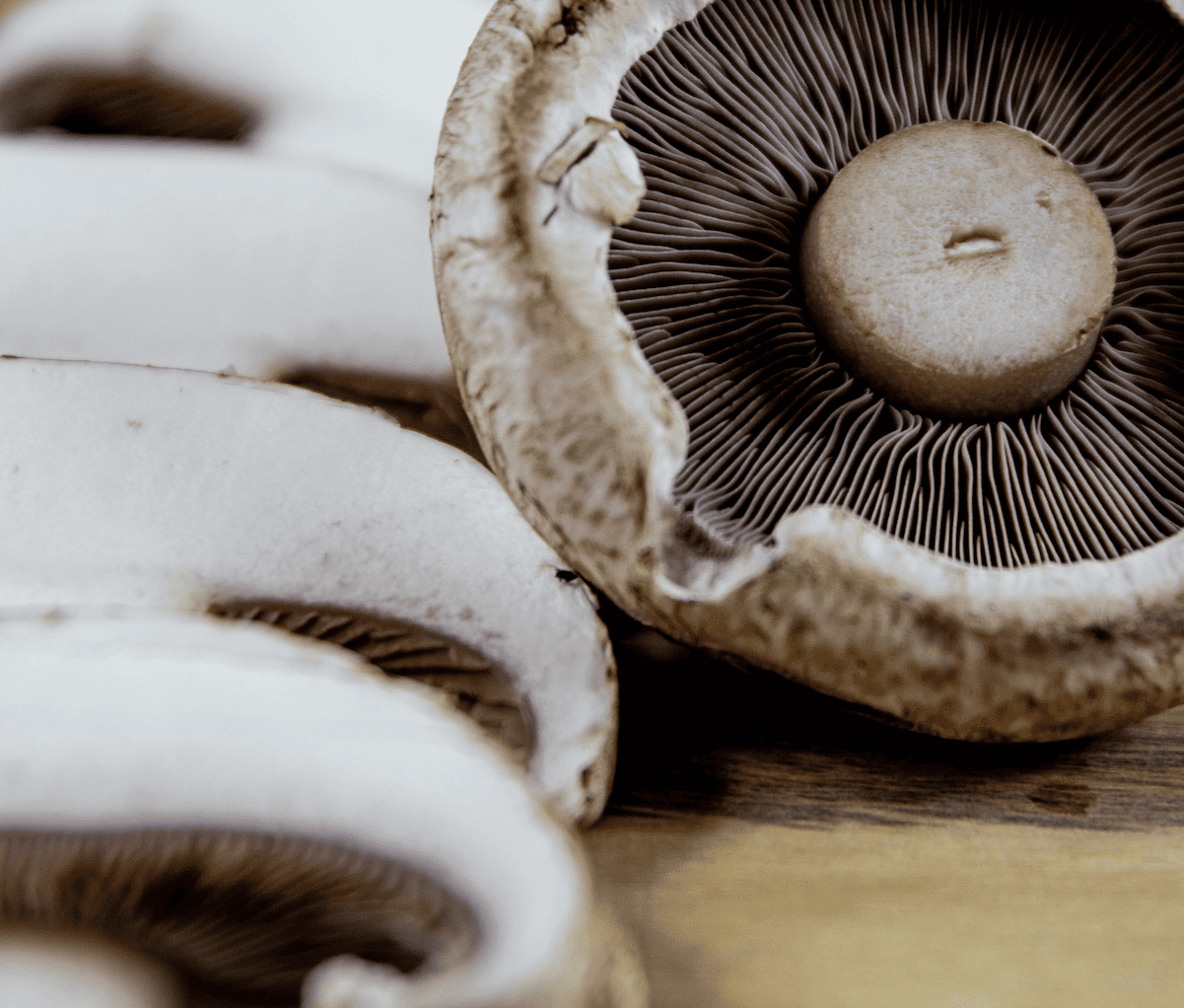 Champignons portobellos