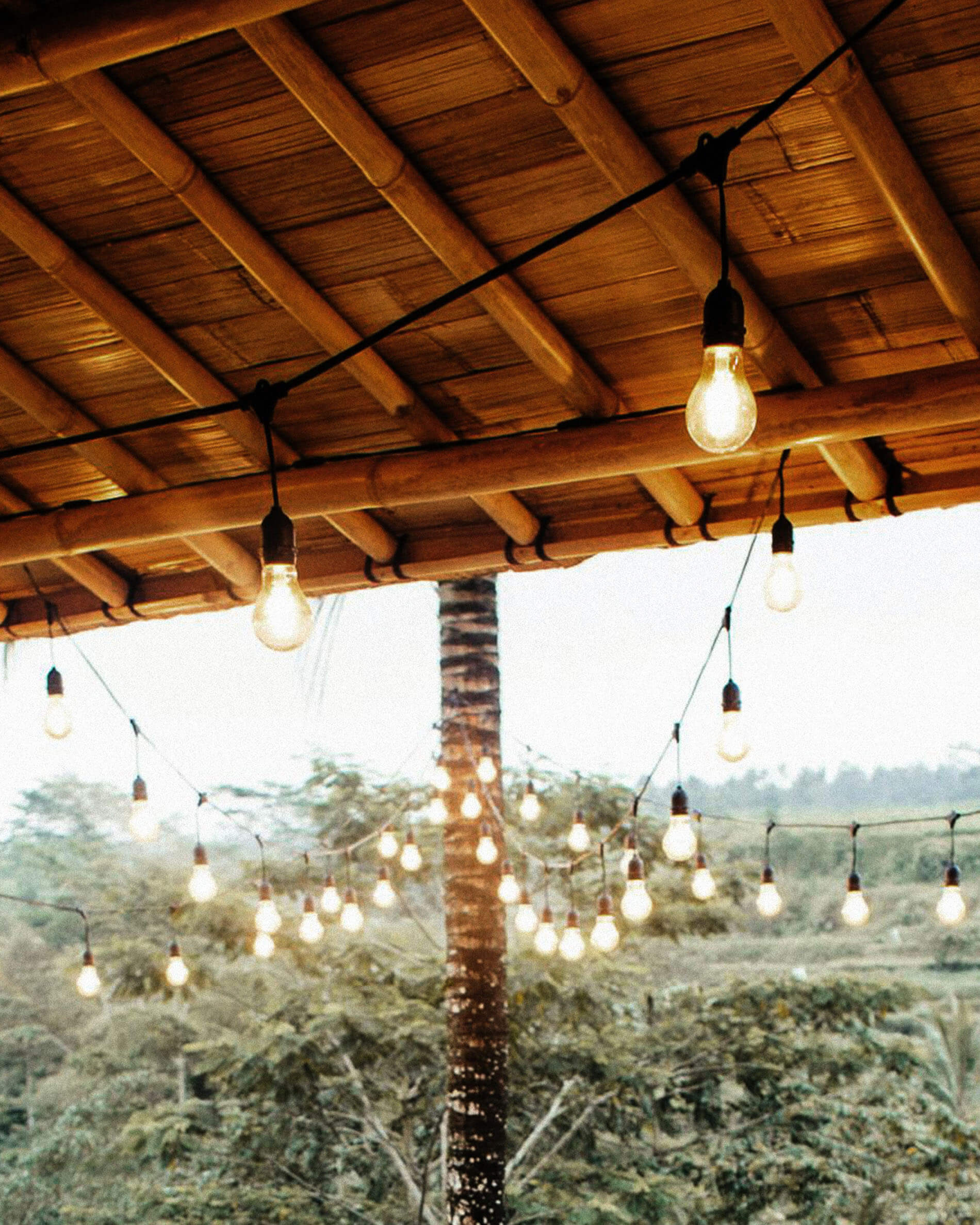 Lichterkette mit Tropfen-Filament