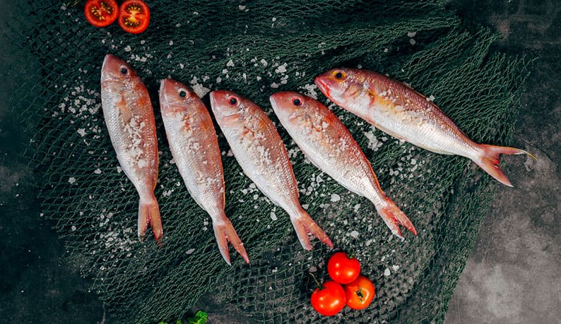 Fisch