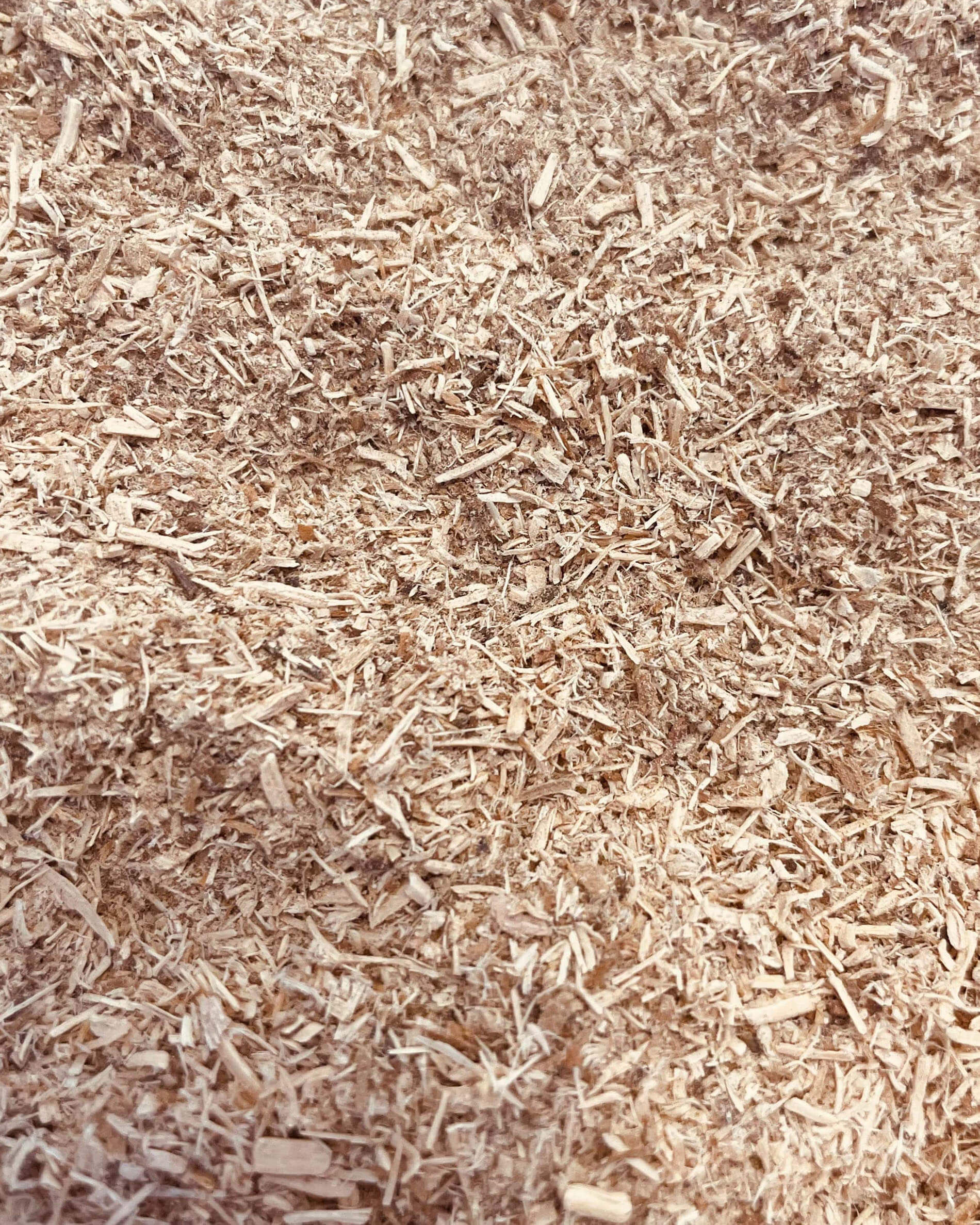 Räucherspäne für Kalträuchern
